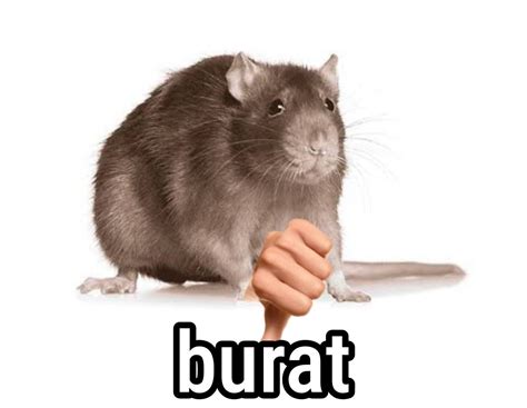 burat photos